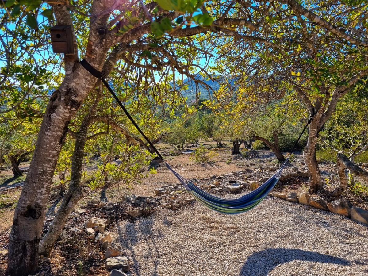 Finca Llambrich L'Ametlla de Mar Extérieur photo