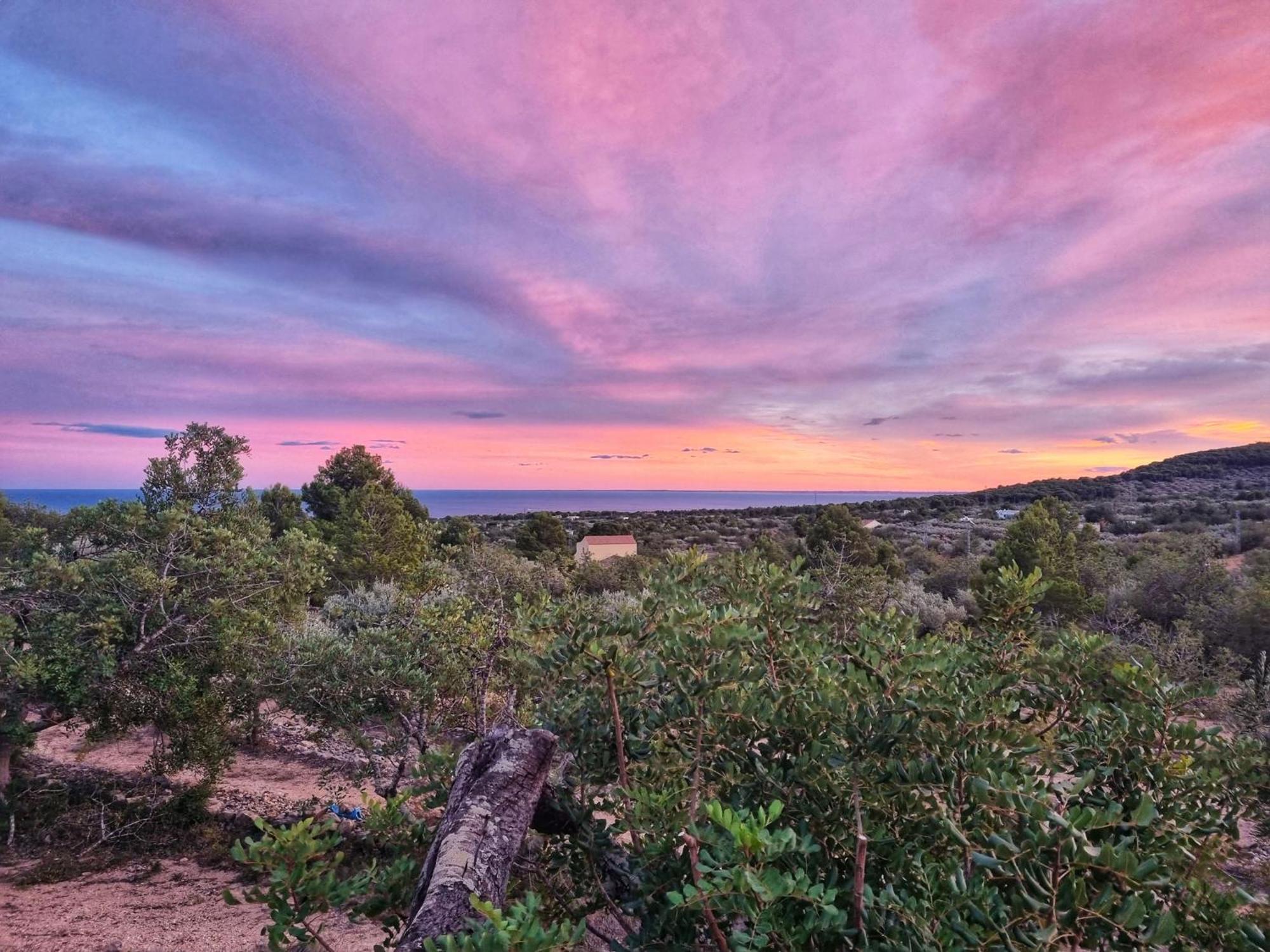 Finca Llambrich L'Ametlla de Mar Extérieur photo