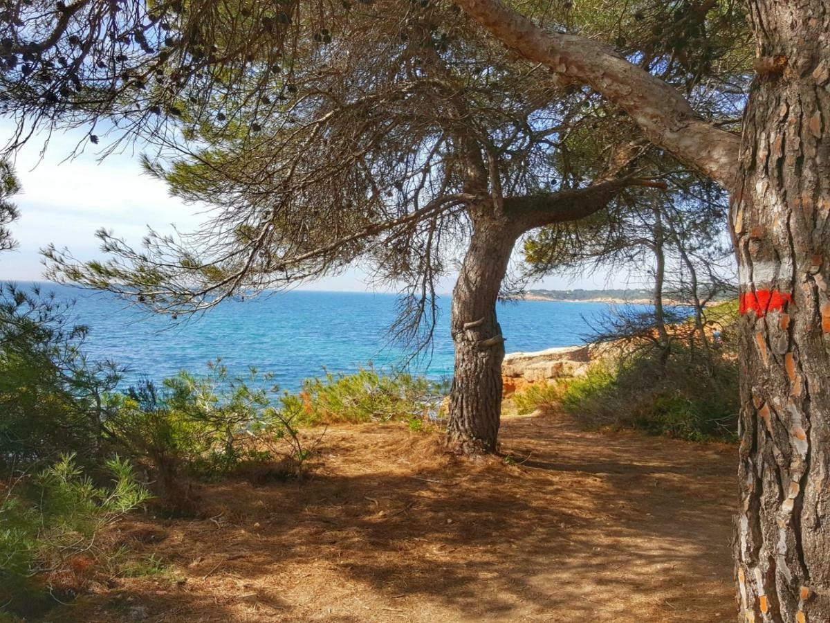 Finca Llambrich L'Ametlla de Mar Extérieur photo